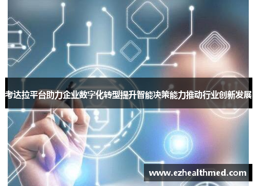 考达拉平台助力企业数字化转型提升智能决策能力推动行业创新发展