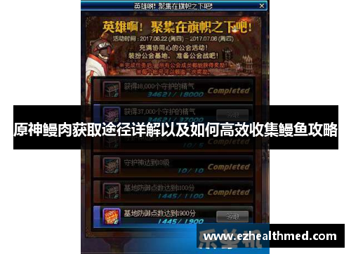 原神鳗肉获取途径详解以及如何高效收集鳗鱼攻略