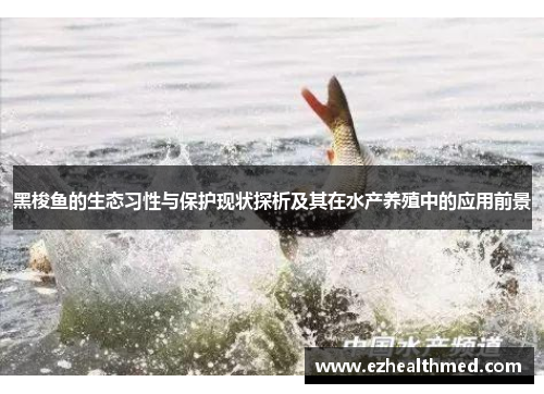 黑梭鱼的生态习性与保护现状探析及其在水产养殖中的应用前景
