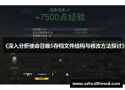 《深入分析使命召唤5存档文件结构与修改方法探讨》