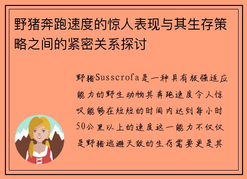 野猪奔跑速度的惊人表现与其生存策略之间的紧密关系探讨